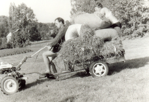 /ram/Jan Kopřiva - odvoz sena již s návěsem N-3,5 - r. 1987 /ram/Jan Kopřiva - odvoz sena již s návěsem N-3,5 - r. 1987
