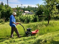Vysoká tráva je sekána bez jediného zaváhání