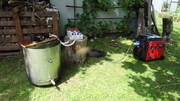 DSC05255