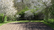 DSC05170