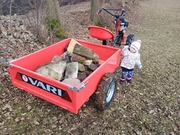 IMG_20250228_115617762