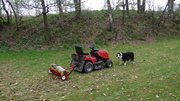 DSC05339