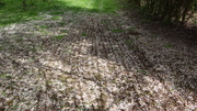 DSC05345
