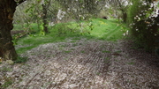 DSC05346